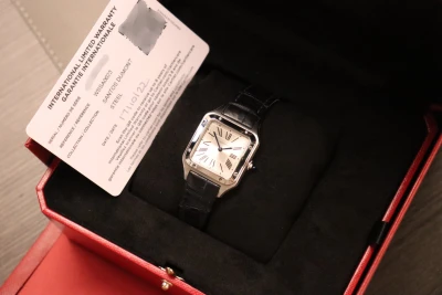 Cartier Santos Dumont Small 27.5MM Steel Quartz Leather WSSA0023 B&P 2022